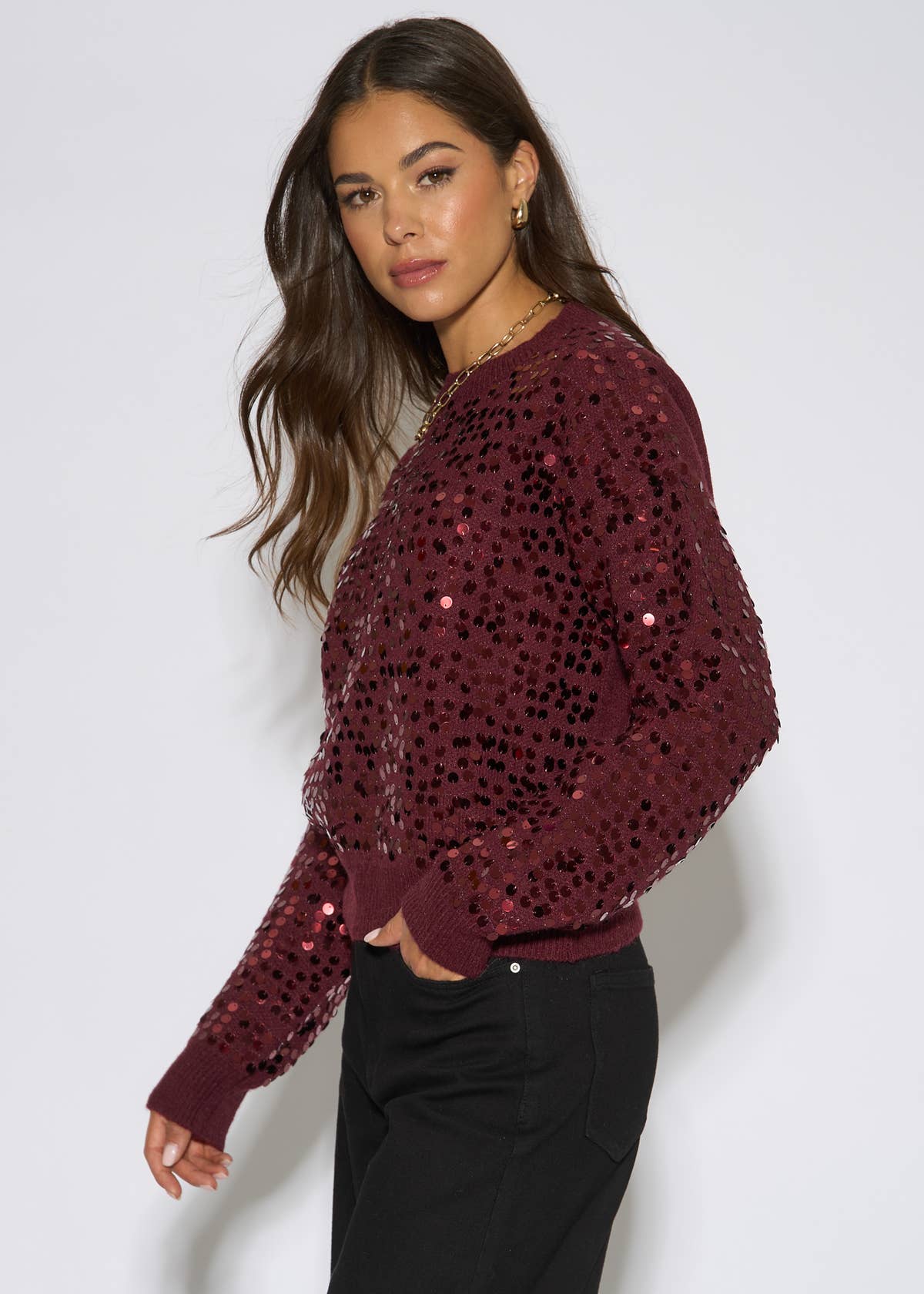 Mulberry Sequin Long Sleeves Knit Jumper – View 4 | Gini London