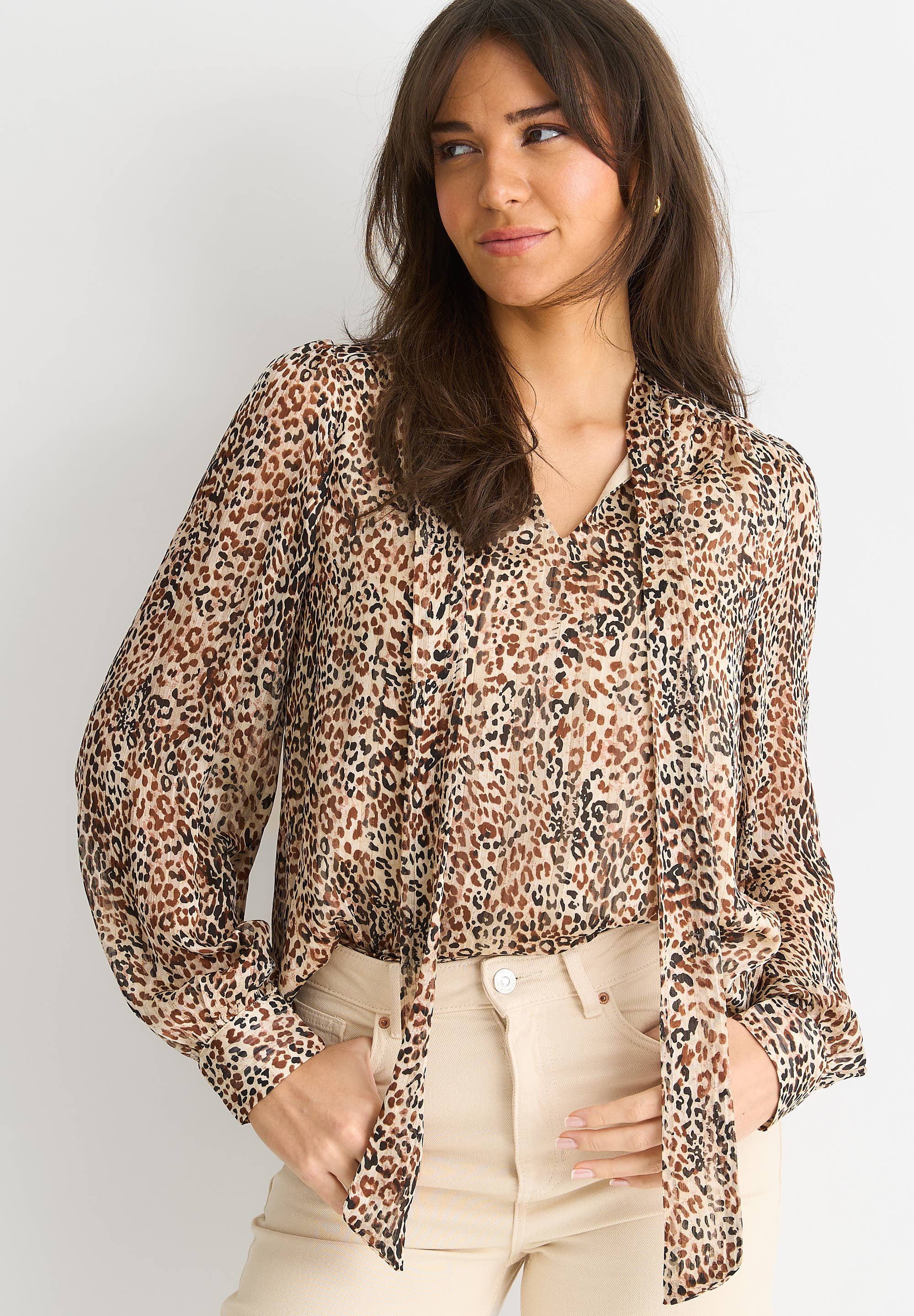 Brown Animal Print Long Sleeve Tie Neck Blouse