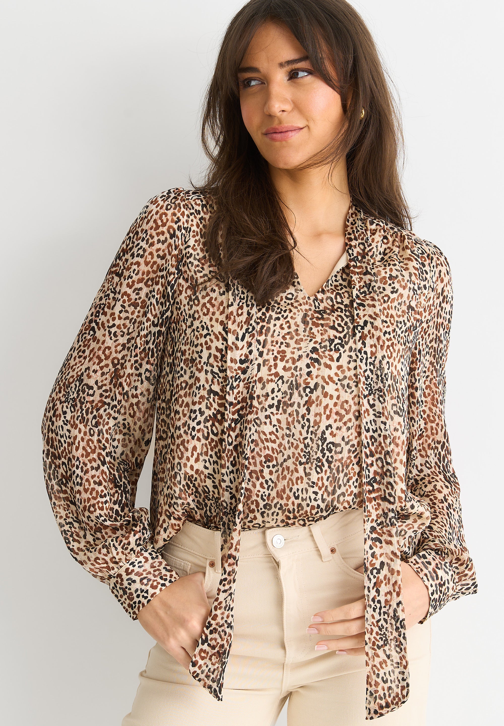 Brown Animal Print Long SLeeves Tie Neck Blouse